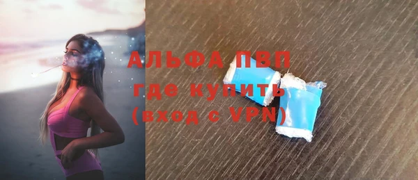 шишки Белокуриха