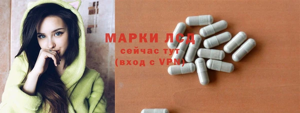 шишки Белокуриха