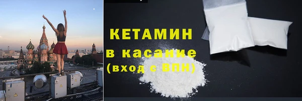 шишки Белокуриха
