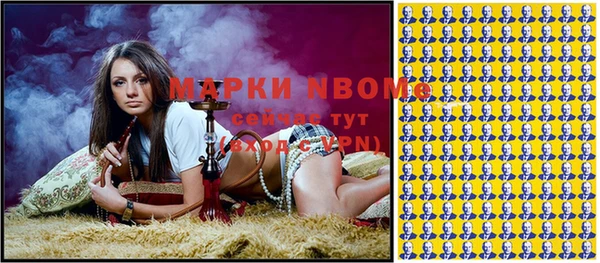 шишки Белокуриха