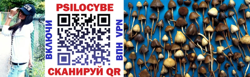 купить  сайты  Бородино  Галлюциногенные грибы мухоморы 