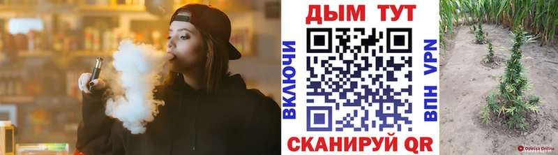 Канабис ГИДРОПОН Бородино